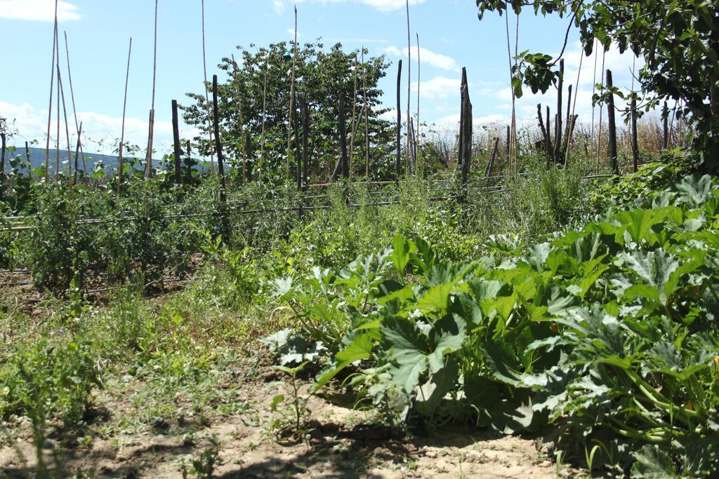Tenuta La Santissima San Rocco a Pilli Kültér fotó
